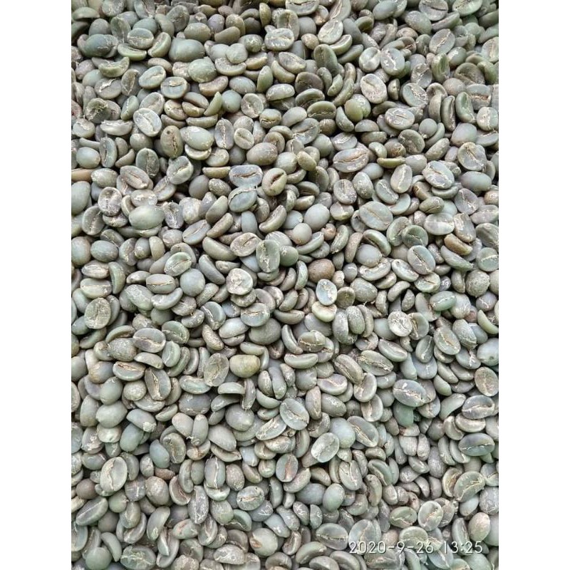 

Kopi Arabika Full wash Sindoro.