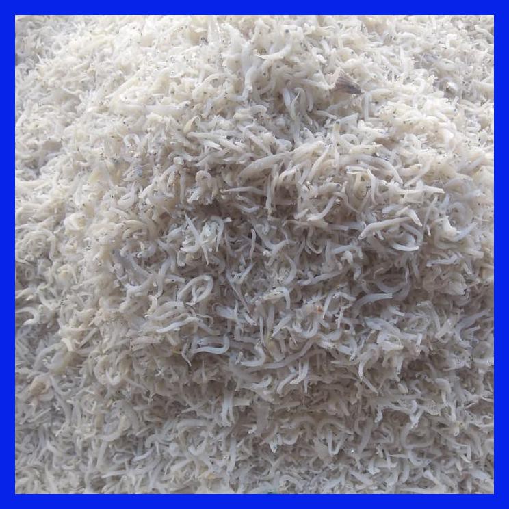 

TN PUTIH 10 KG KHUSUS OJEK ONLY