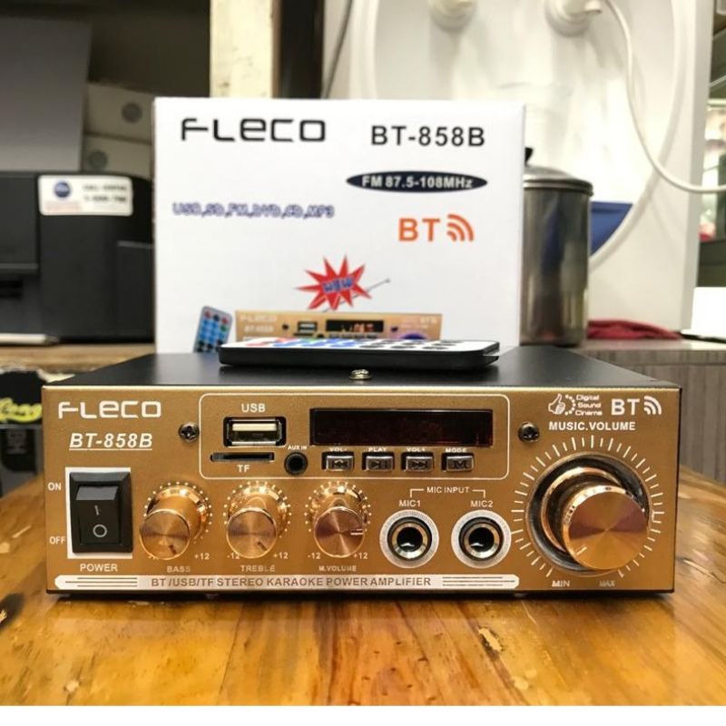 AMPLIFIER FLECO F-165 / 858A BT ( AC/DC )