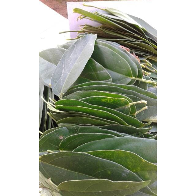 

Herbal Daun Cincau Segar Per Helai