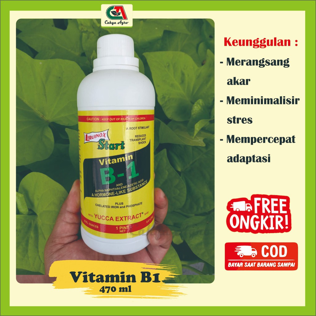 Jual Pupuk Vitamin B1 Anti Stres Tanaman 470 Ml | Shopee Indonesia