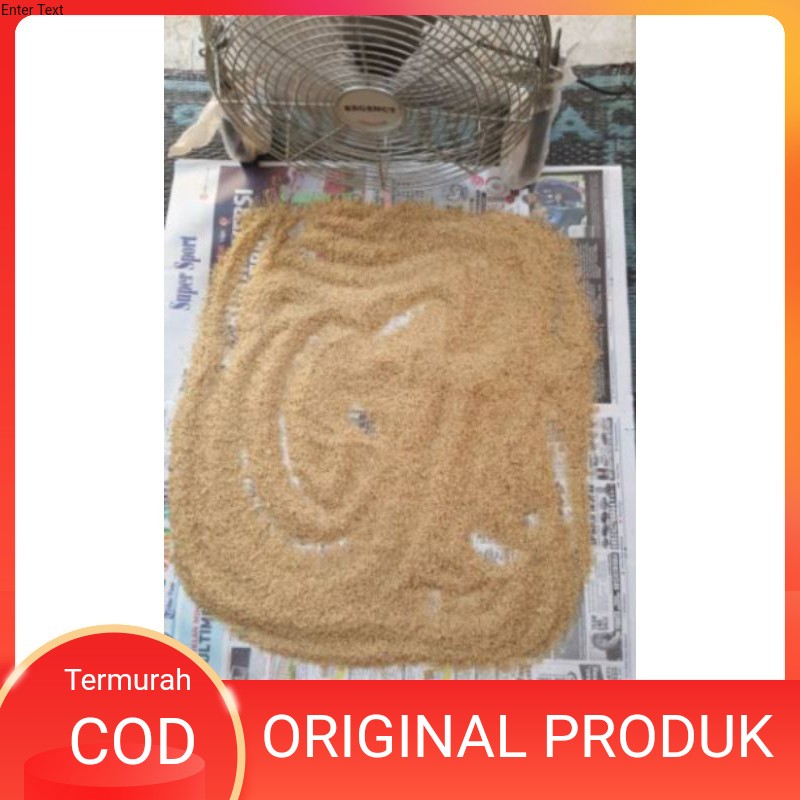 COD telur jangkrik kalung. kualitas unggul daya tetas 98%