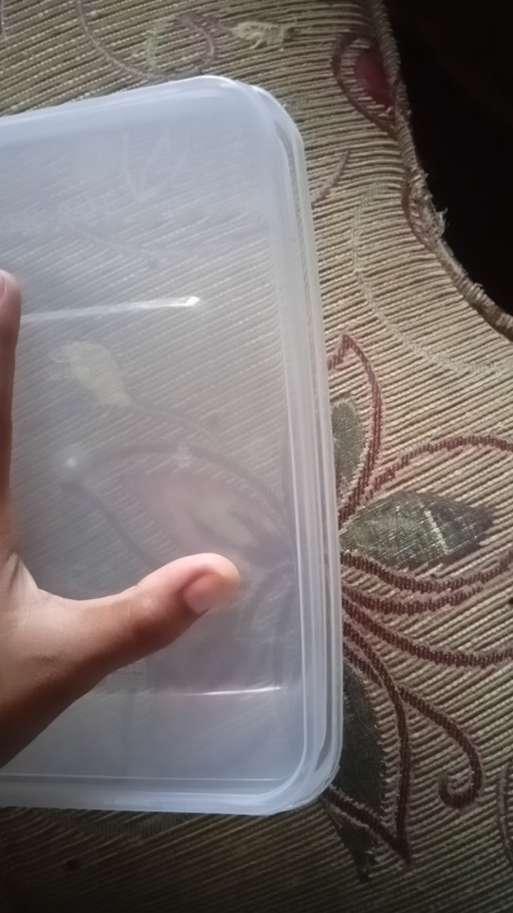 Thinwall 2000ml Sq Food Container Makanan / Kotak Makan