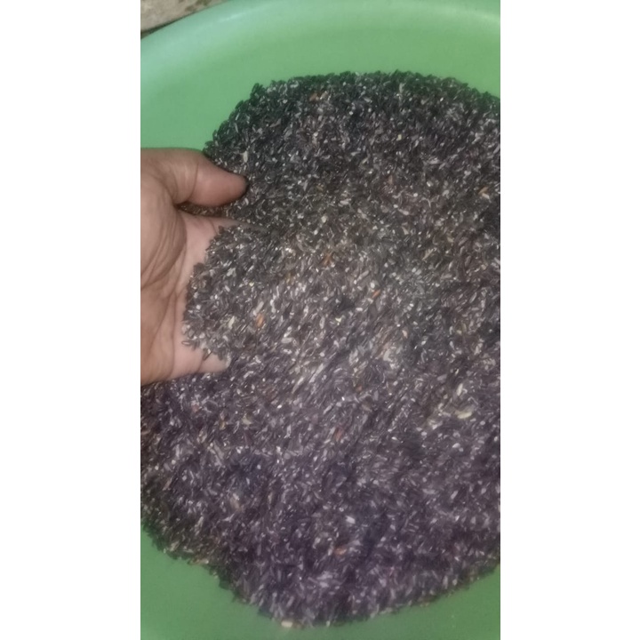 

Beras Ketan hitan 1000g / 1kg.