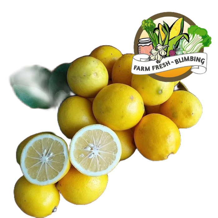 

Lemon California Lokal 500 gr