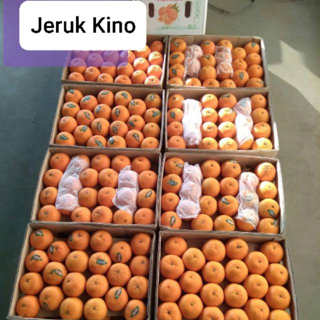 

Jeruk Kino