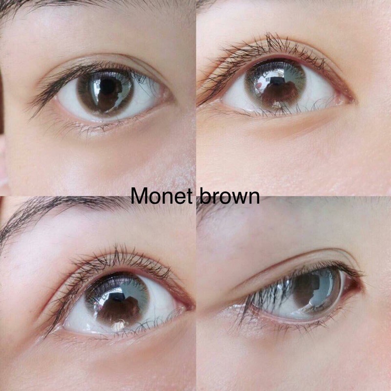 Monet gray &amp; brown softlens natural original korea