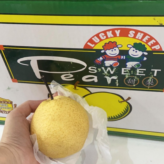 

850-950 gr buah pear sweet pir sweat sweat