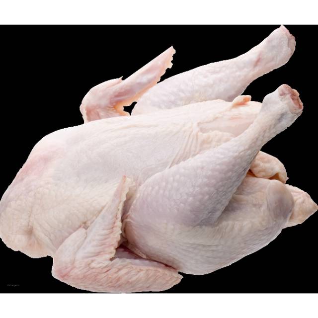 

Frozen Ayam Broiler