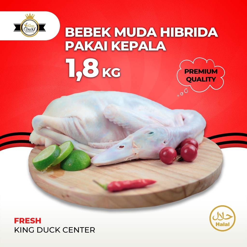 

Daging Bebek Hibrida 1.8 Kg Utuh PAKAI KEPALA KAKI Fresh/Frozen