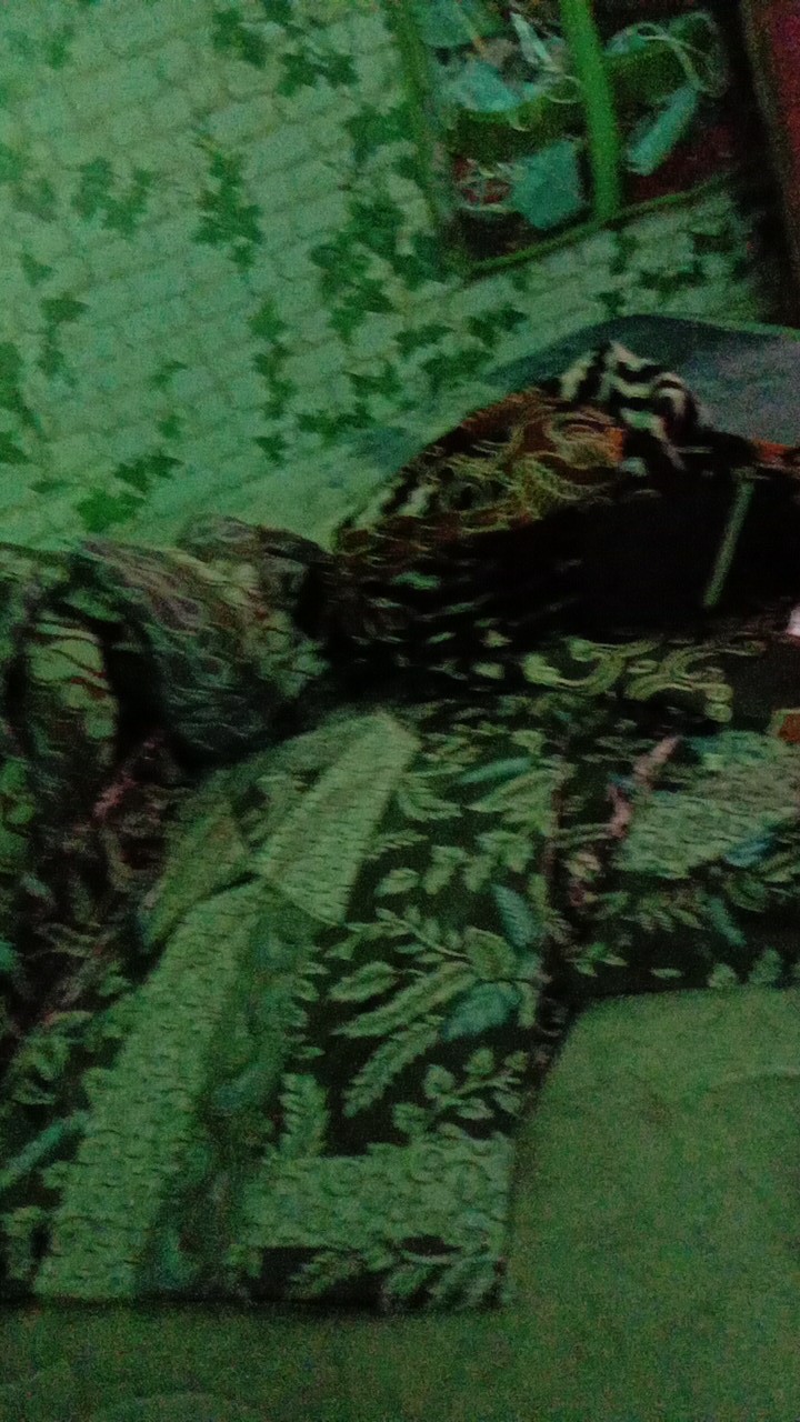 Bisa Cod M, L, Xl, Xxl Kemeja Batik Lengan Panjang Abadi Batik Pria New Arival Non Slimfit Reguler