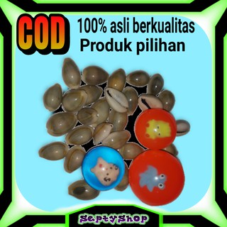 BEKEL BIJI BEKEL BIJI CONGKLAK KUWUK COKLAT PER 100 GR 