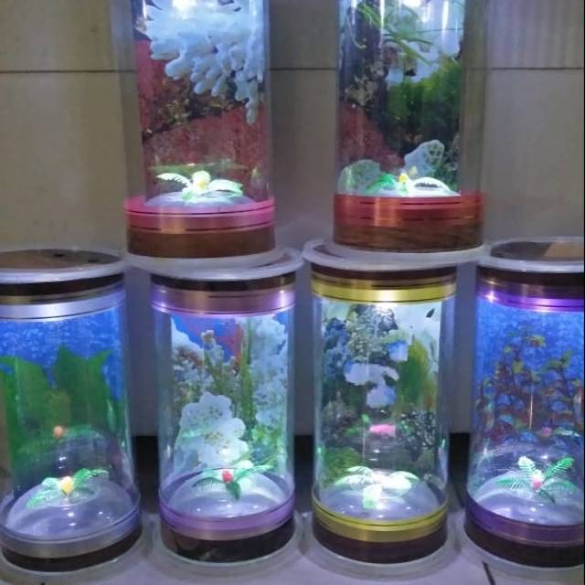 Aquarium  mini