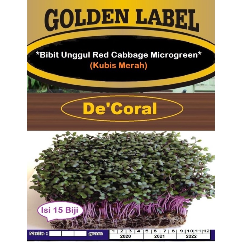 Bibit Unggul Red Cabbage Microgreens |Kubis Merah | Benih Kubis Merah