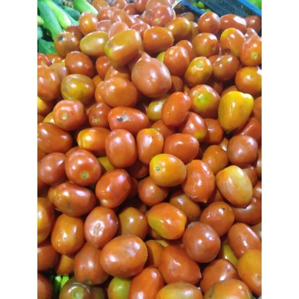 

Tomat besar fresh 250grm