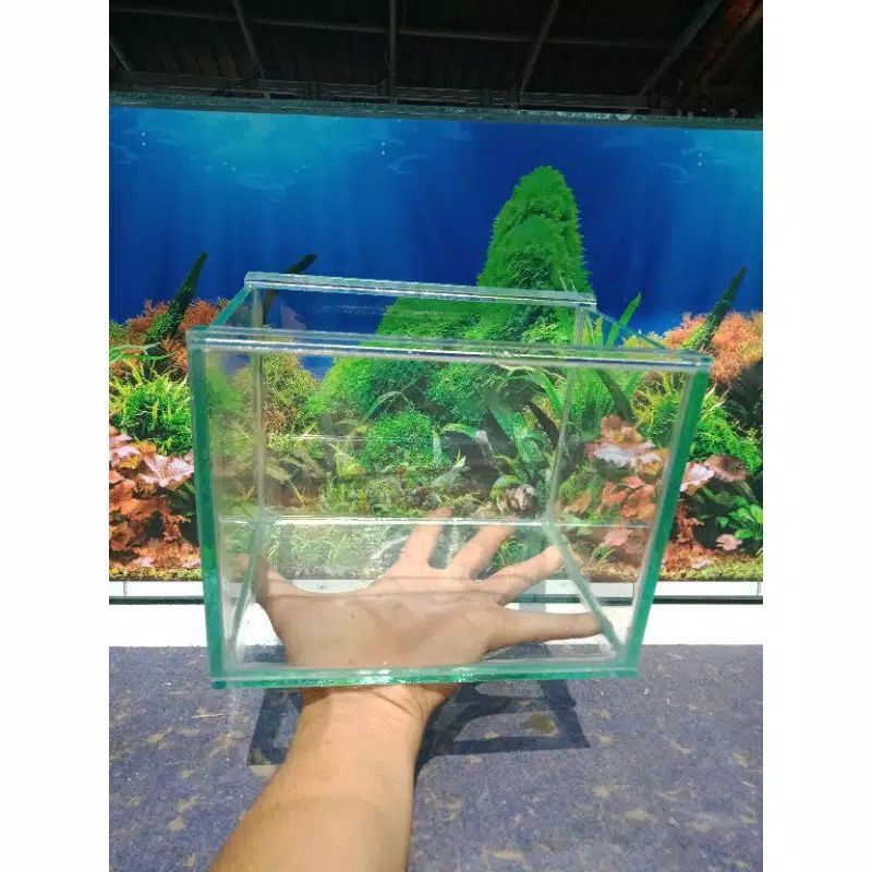 Aquarium mini soliter cupang 20x15x15