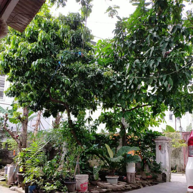 Sprei Bonita 3d Teresa