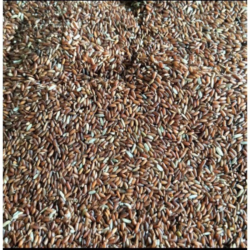 beras merah 1kg/beras merah untuk pakan burung 1kg