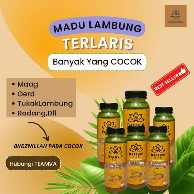 

MADU HERBA LAMBUNG BY BATAVIA BEE