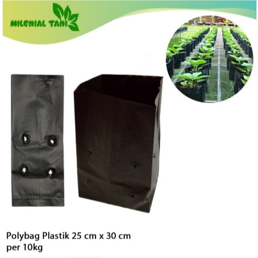 Polybag Tanaman Ukuran 25 cm x 30 cm Per 10 kg