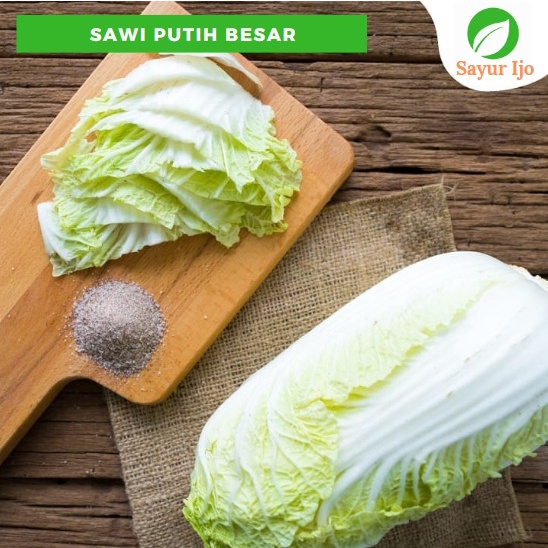 

Sawi Putih Besar 0.5 - 0.8 Kg Per Pcs Fresh Grade A Chinese Cabbage Sayur Hijau Segar