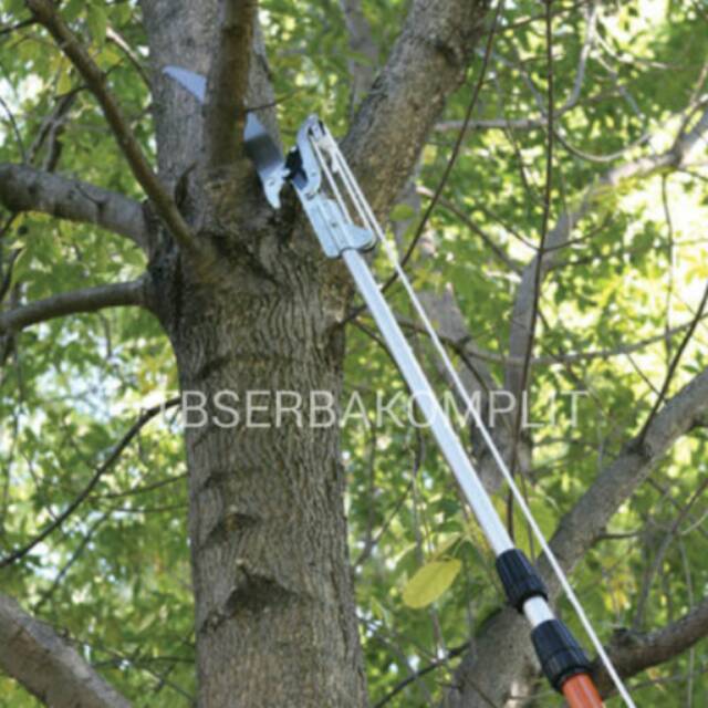 Gergaji Dahan Gergaji Pohon Gunting Galah Gunting Tarik Tree Pruner Sellery