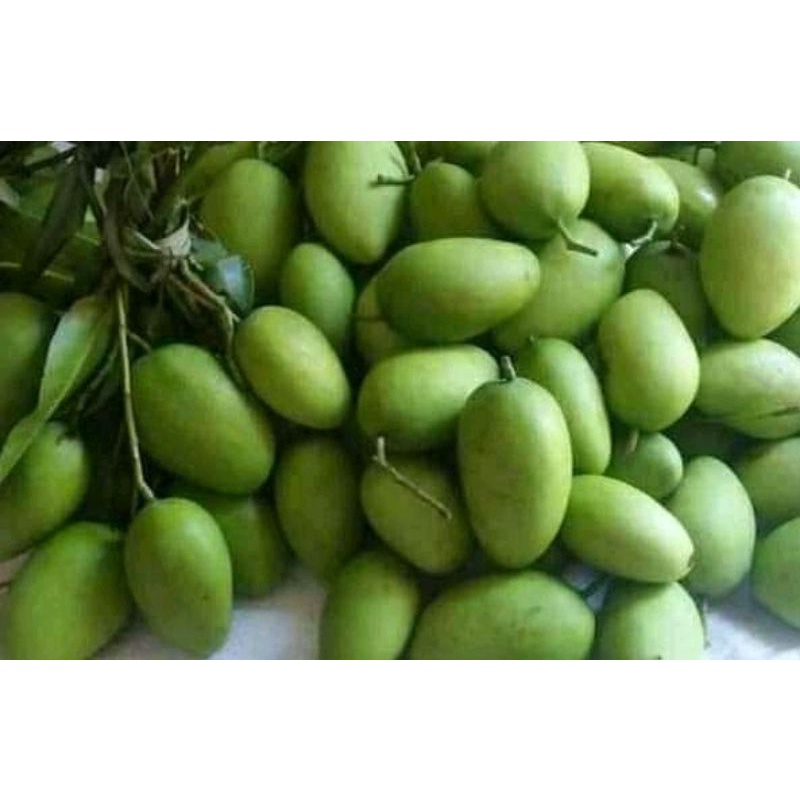 

buah mangga muda mentah + sambal