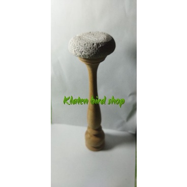 tangkringan burung branjangan