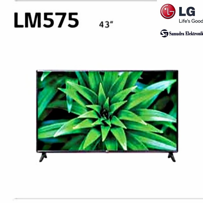 Led Smart Tv LG 43 Inch Basic - 43 LM5750