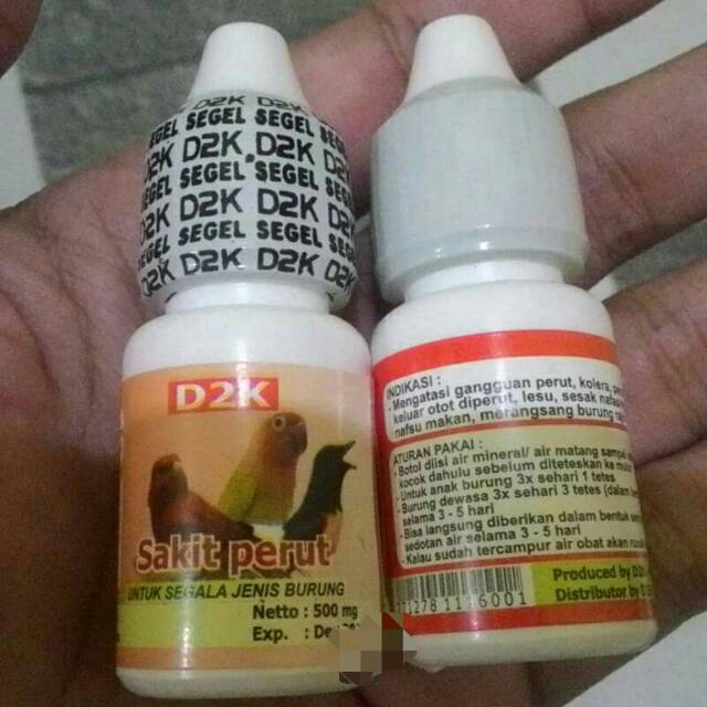 D2K sakit perut obat burung sakit d2k
