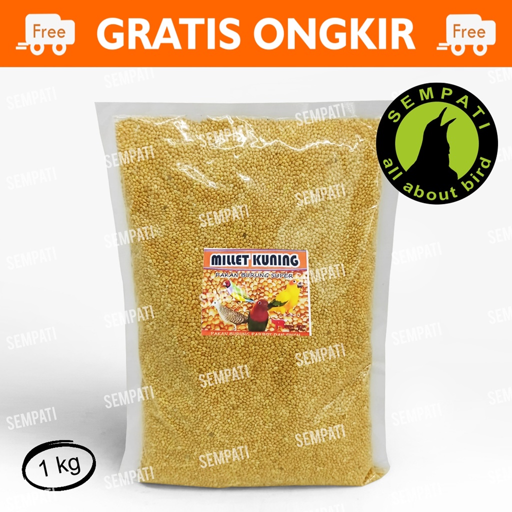 MILET KUNING R-FAM JAYA 1 KG BIJI MILLET KUNING CREAM KONSLET PAKAN BURUNG LOVEBIRD KENARI PARKIT FINCH YELLOW MILLET SEED ORGANIC