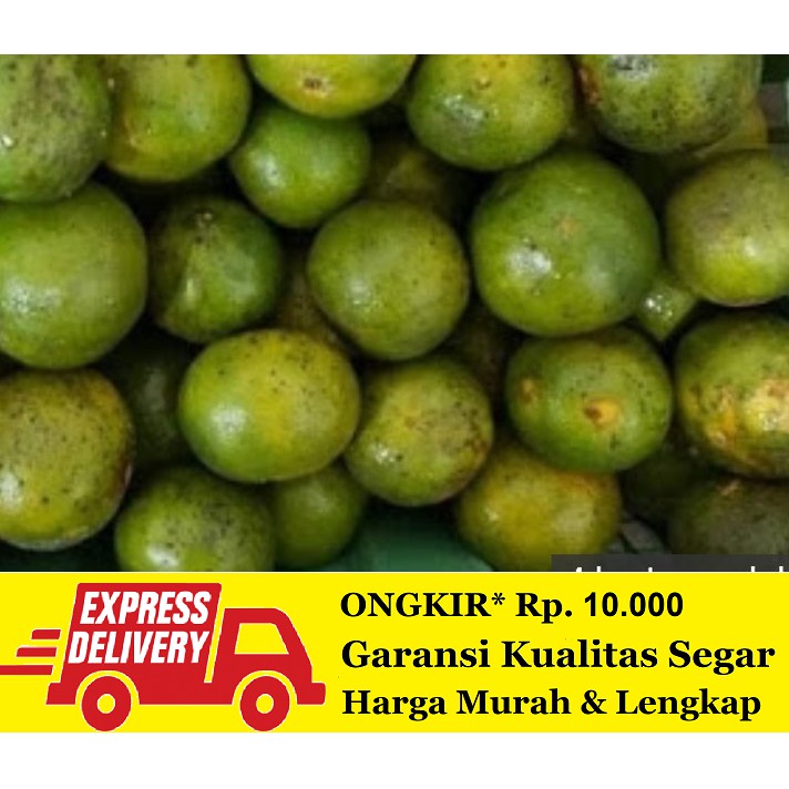 

Jeruk Peras 1 kg