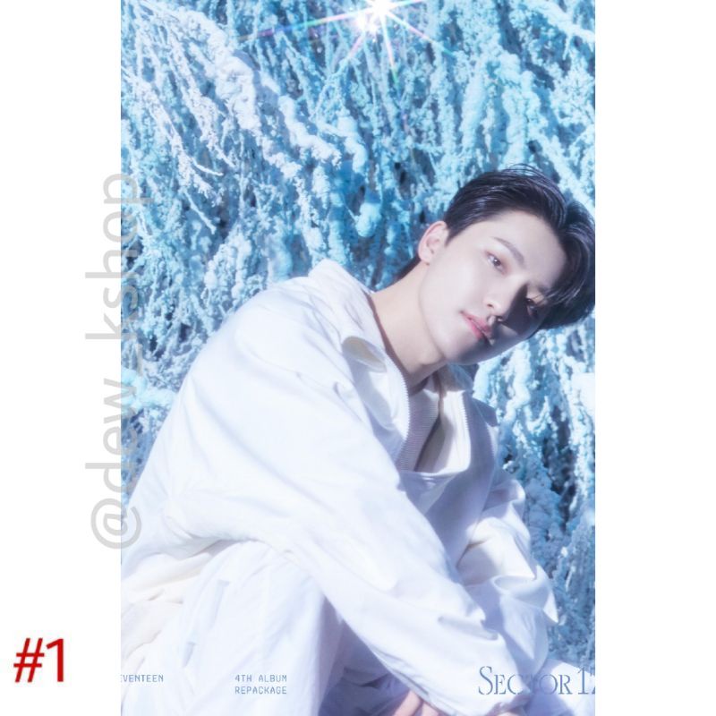 POSTER SEVENTEEN (DINO) - ‘SECTOR 17’