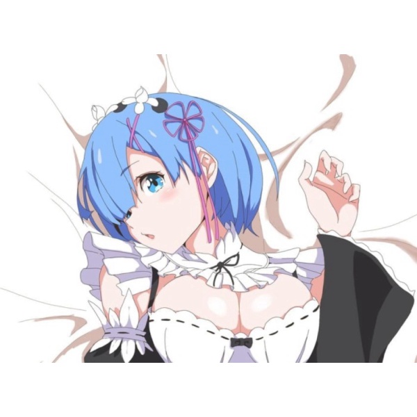 Dijual Sarung Bantal Peluk Dakimakura Anime Rezero Rem RZ09 Limited