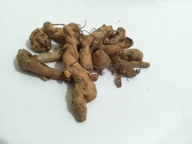 Temu Kunci 1 kg