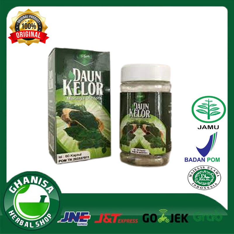 Jual ORIGINAL DAUN KELOR MORINGA OLEIFERA SYIFA 60KAPSUL | Shopee Indonesia