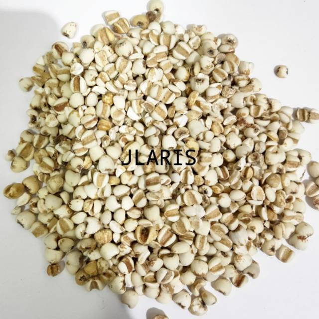 

Jali Jali Impor / Barley / Yi Mi / I Bi