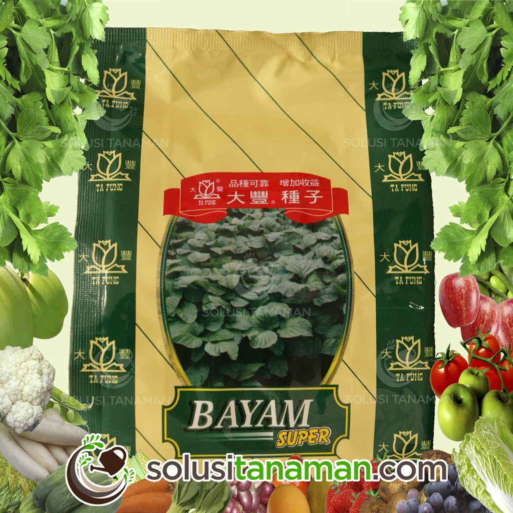 Benih Bayam Super @ 500 gr Biji Benih Sayuran Bibit Sayur ...