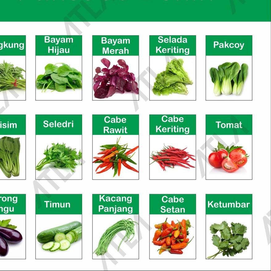 (kode-288) Paket 30 Benih Kebun Hidroponik Biji Bibit Jenis Sayur Sayuran Lengkap ,