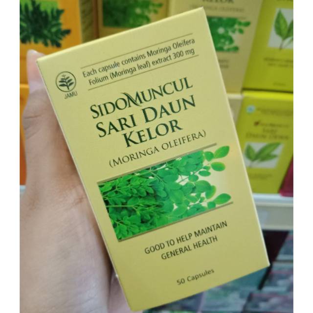 

Sari Daun Kelor Sidomuncul