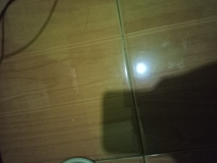 [300gr] A58 Termos Animal Milk Water Bottle 500m