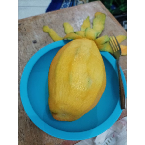 

Mangga Indramayu (Matang, Mengkel/Kemading/Rujak)