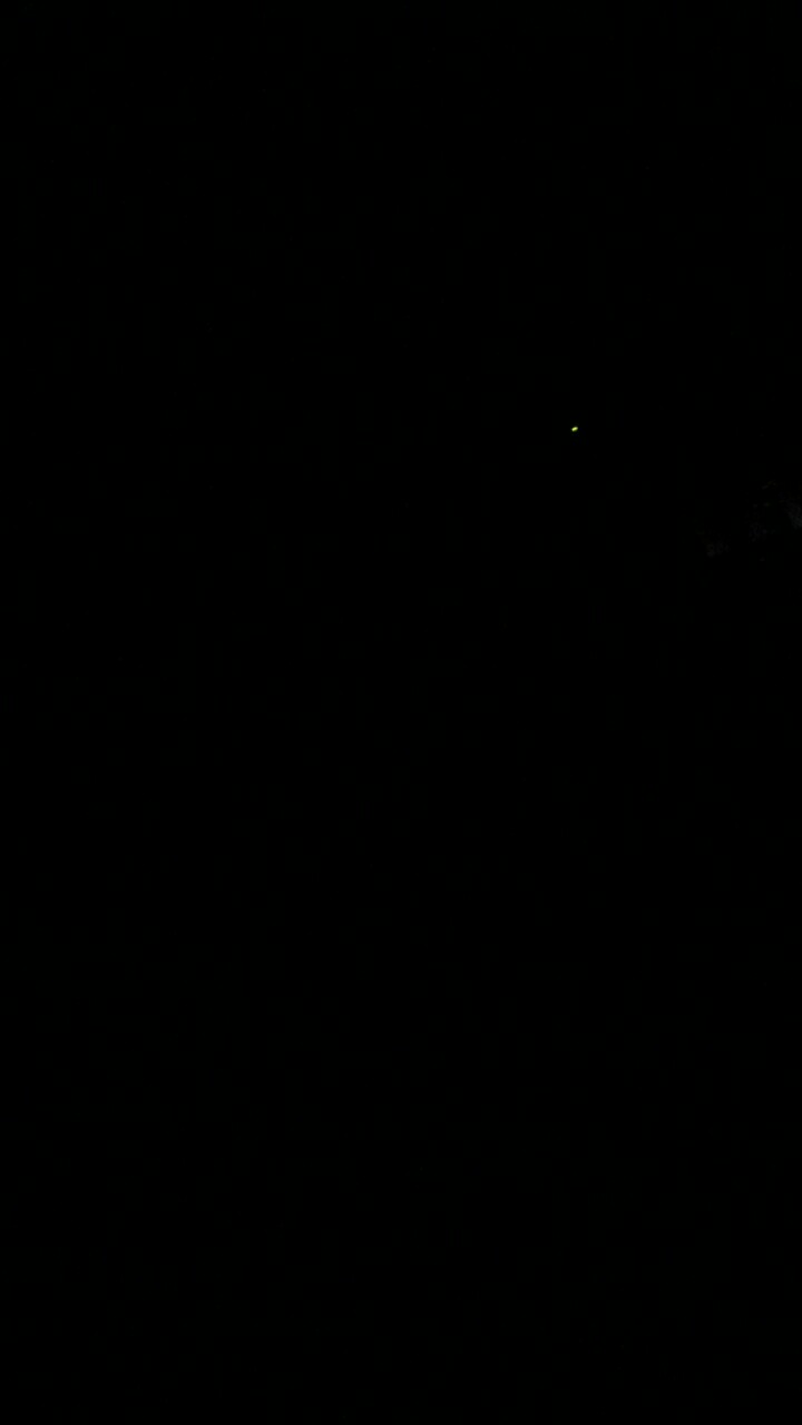 Jerigen 1 Liter Hdpe Tutup Segel