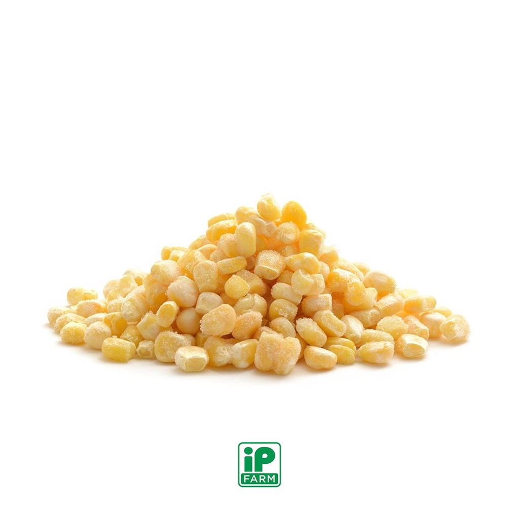 

Frozen Hokkaido Kernel / Jagung Hokkaido Pipil /Jagung Jepang Manis
