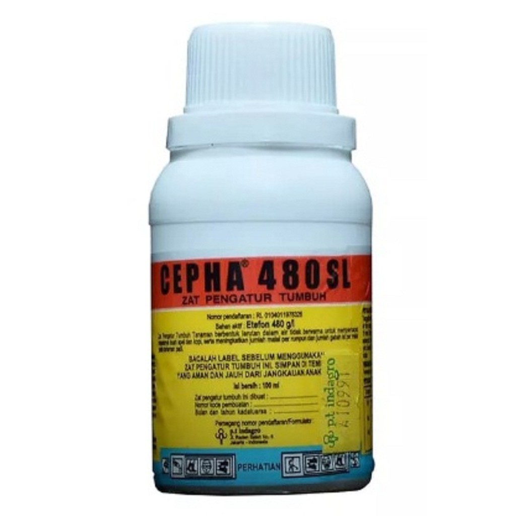 Cepha 480 SL (100 ml)