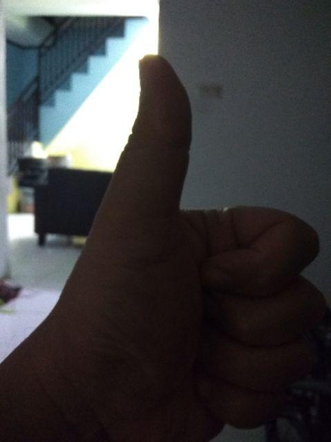 Capstock Tempel / Hanger Hook Merk Lion Star Isi 3 Pcs Hk-2