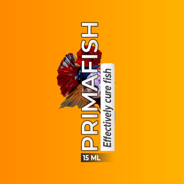 OURFISH - Primafish Obat Ikan Dropsy Siknas Sisik Nanas Popeye Cupang Hias Halfmoon Avatar Blue Rim