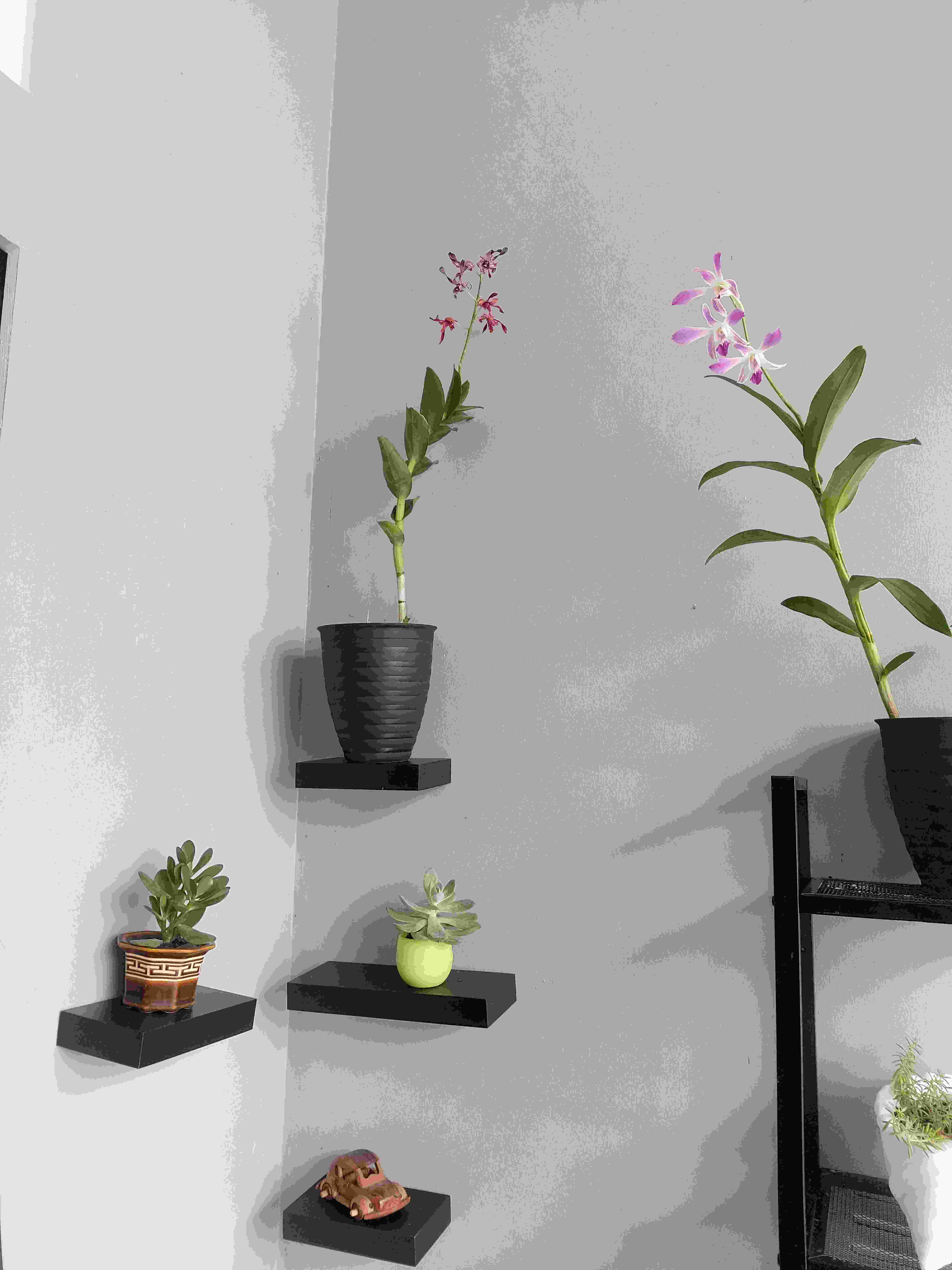 Set Rak Ambalan Dinding Minimalis 3 Pcs Uk. 30,40,60 Cm