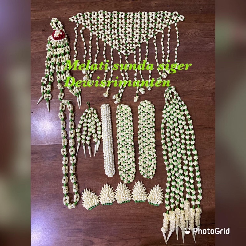 melati pengantin Sunda/melati Sunda siger/melati sunda