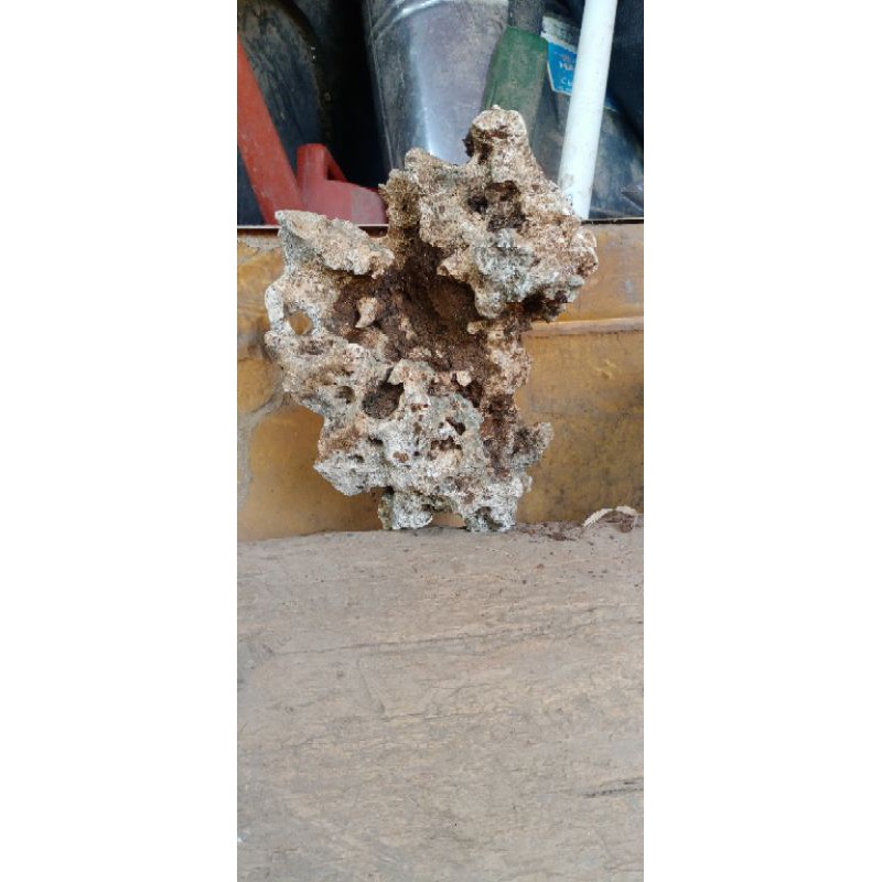 batu karang gunung super untuk bonsai-aqurium-